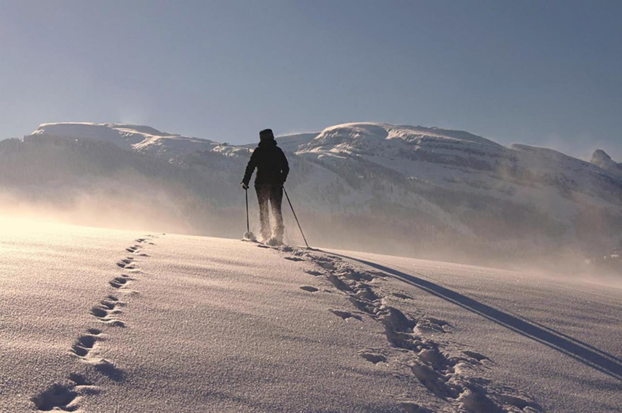 Das Grasberghaus Extérieur photo